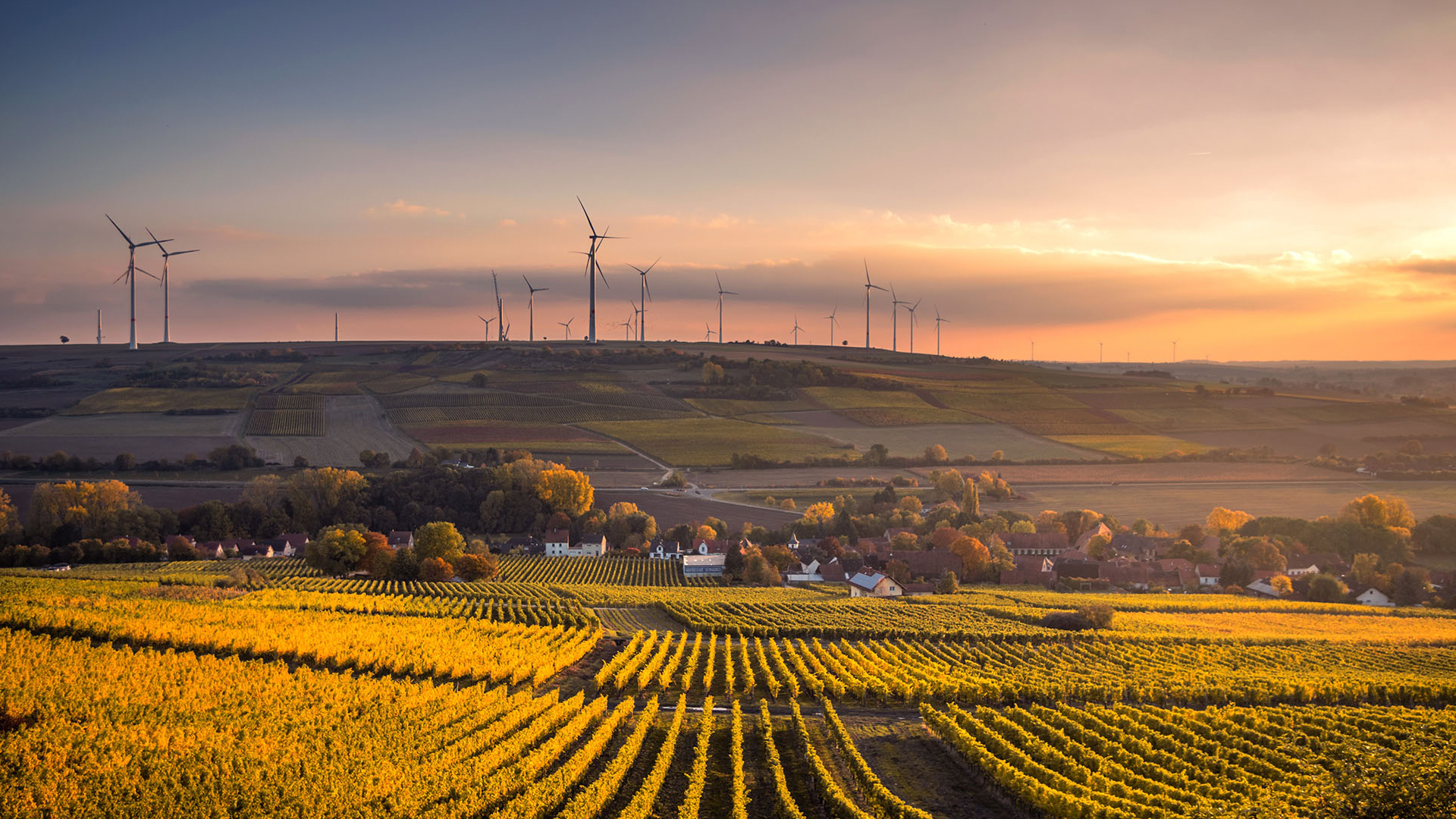 Curso de Auditor Líder ISO 14001 - Sistema de Gestão Ambiental