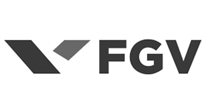 fgv (1)