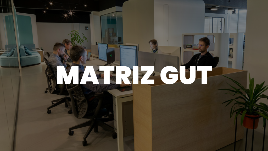 Matriz GUT