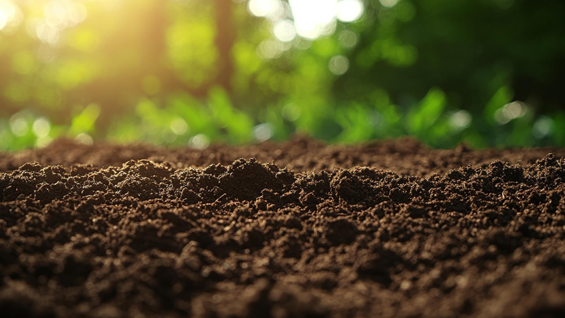 Curso online de Entendimento ISO 14001-2026