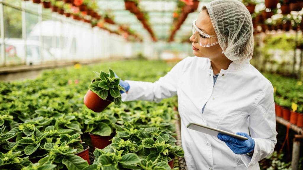 Como conseguir a certificação IFS Progress e dar início à jornada da segurança de alimentos